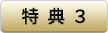 特典3